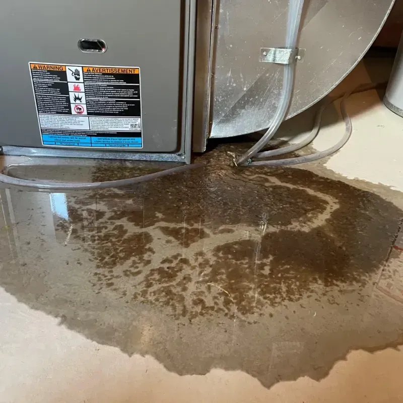 Appliance Leak Cleanup in Port Barrington, IL